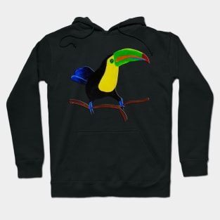 Toucan Hoodie